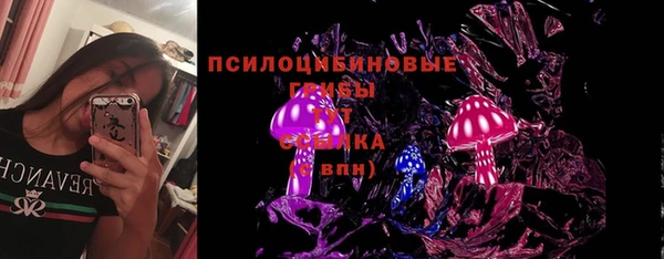 сатива Белоозёрский