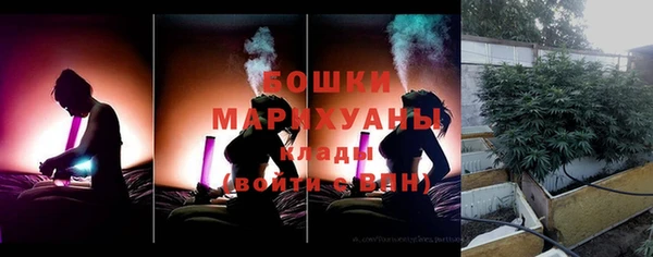 сатива Белоозёрский