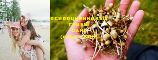 герыч Беломорск