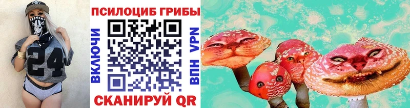Псилоцибиновые грибы Psilocybe  как найти   Южно-Сухокумск 
