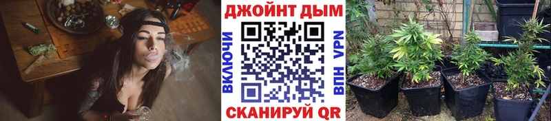Канабис гибрид  Южно-Сухокумск 
